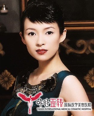 了解双美胶原蛋白531