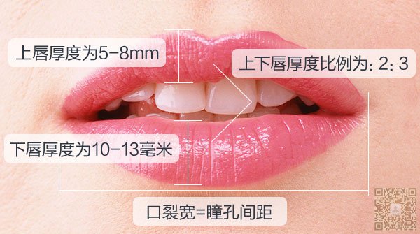 女人ー生至少要吃掉500支口红! 女人ー生至少要吃掉500支口红!