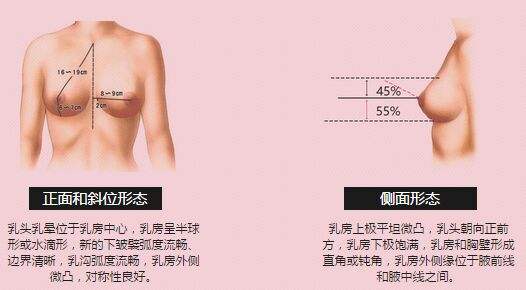超声波自体脂肪丰胸给你最傲人的胸部484 超声波自体脂肪丰胸给你最傲人的胸部484