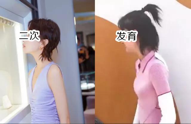 二次发育真的存在吗?