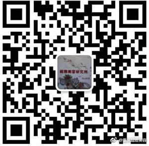 超 声 波去眼袋,告别“熊猫眼” 超 声 波去眼袋,告别“熊猫眼”