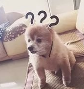 隆鼻手术修复还能用以前得假体吗? 隆鼻手术修复还能用以前得假体吗?