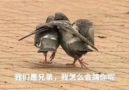 别再佛性了,你可能真的需要面部提升术493 别再佛性了,你可能真的需要面部提升术493