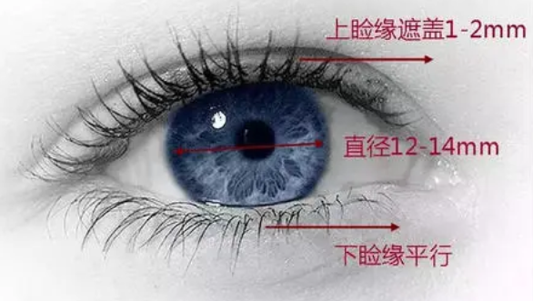 眼部的打造不仅需要精湛医师，技术也很重要！